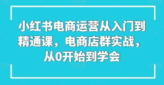 小红书电商运营从入门到精通课，电商店群实战，从0开始到学会| 网创圈