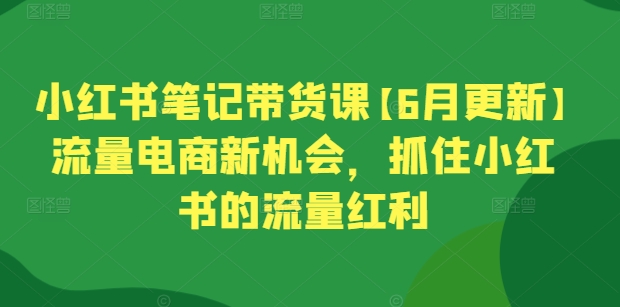 小红书笔记带货课【6月更新】流量电商新机会，抓住小红书的流量红利| 网创圈