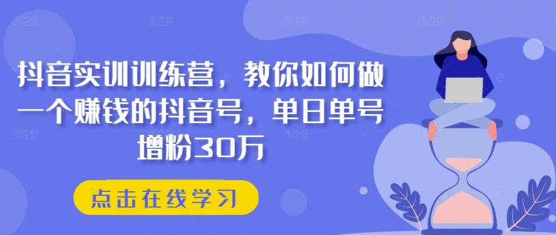 抖音实训训练营，教你如何做一个赚钱的抖音号，单日单号增粉30万| 网创圈