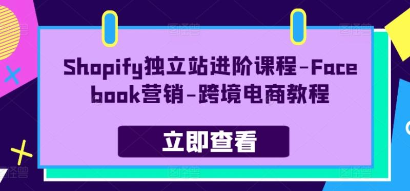 Shopify独立站进阶课程-Facebook营销-跨境电商教程| 网创圈