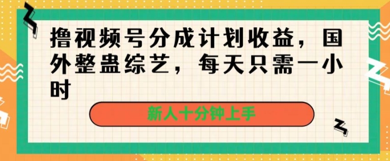 撸视频号分成计划收益，国外整蛊综艺，每天只需一小时，新人十分钟上手| 网创圈