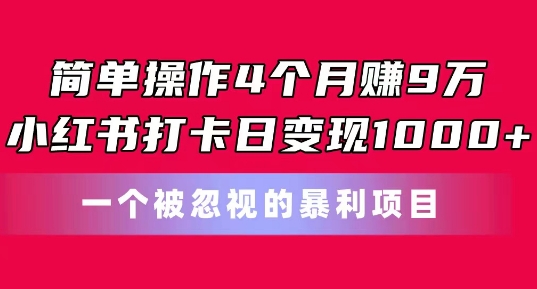 简单操作4个月赚9w，小红书打卡日变现1k，一个被忽视的暴力项目【揭秘】| 网创圈