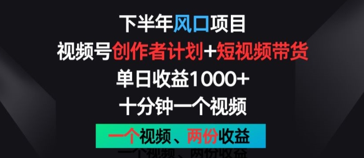 下半年风口项目，视频号创作者计划+视频带货，一个视频两份收益，十分钟一个视频【揭秘】| 网创圈