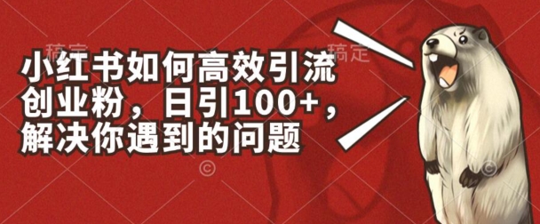小红书如何高效引流创业粉，日引100+，解决你遇到的问题【揭秘】| 网创圈