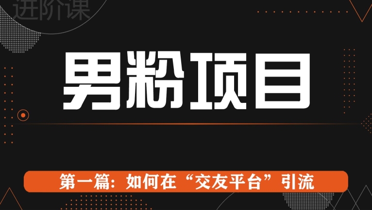 男粉项目系列课程第一篇: Soul暴力引流| 网创圈