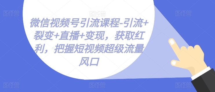 微信视频号引流课程-引流+裂变+直播+变现，获取红利，把握短视频超级流量风口| 网创圈