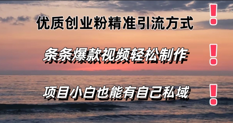 优质创业粉精准引流方式，条条视频爆款，小白也能轻松拥有自己的私域| 网创圈