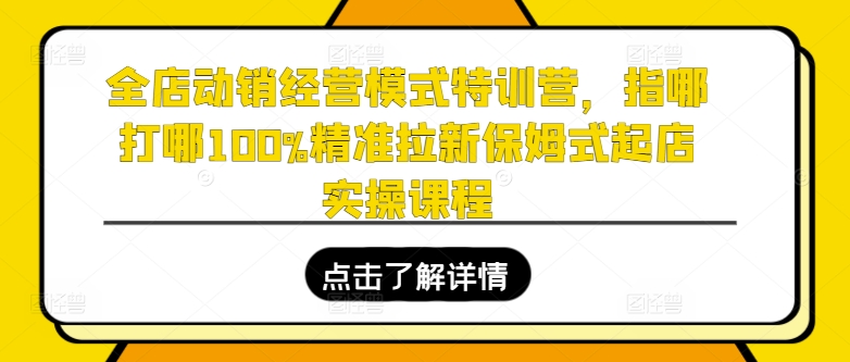 全店动销经营模式特训营，指哪打哪100%精准拉新保姆式起店实操课程| 网创圈