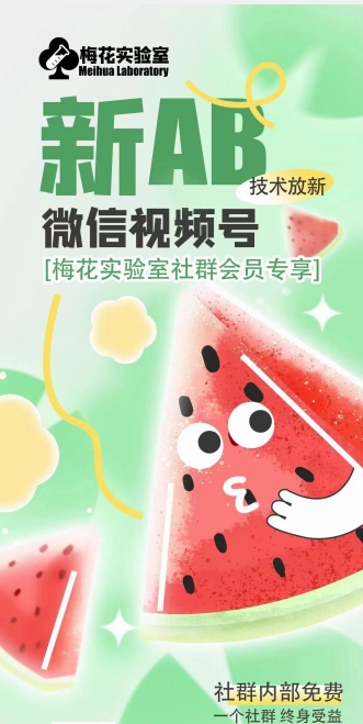 梅花实验室2024年AB技术视频号AB合成破解版| 网创圈