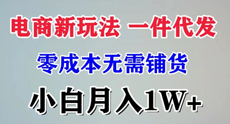 电商新玩法 一件代发,零成本无需铺货，小白月入1W+| 网创圈