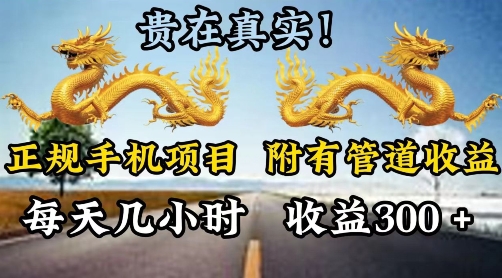 正规手机项目，附有丰富的管道收益，每天几小时，收益300| 网创圈