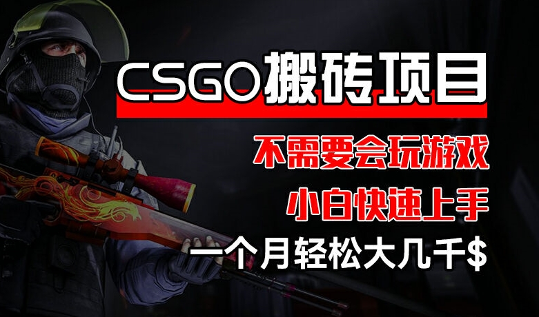 CSGO 装备搬砖项目，操作简单，不需要会玩游戏，小白也能快速上手，一个月轻松大几千【揭秘】| 网创圈
