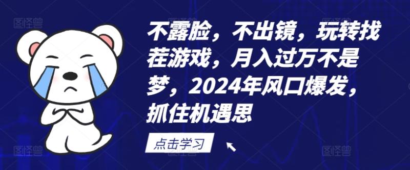 不露脸，不出镜，玩转找茬游戏，月入过万不是梦，2024年风口爆发，抓住机遇【揭秘】| 网创圈