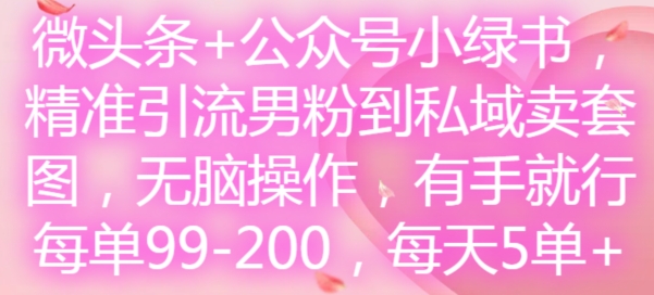 微头条+公众号小绿书，精准引流男粉到私域卖套图，无脑操作，有手就行，每单99-200，每天5单| 网创圈