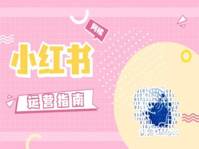 小红书运营指南，没有套路，全是经验| 网创圈