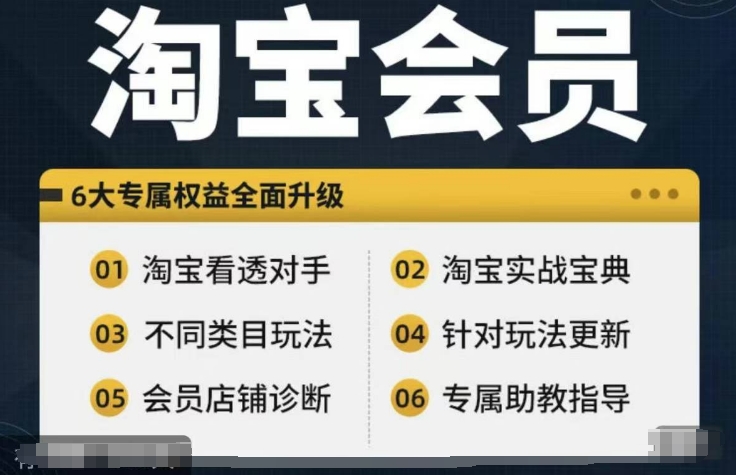 淘宝会员【淘宝所有课程，全面分析对手】，初级到高手全系实战宝典| 网创圈