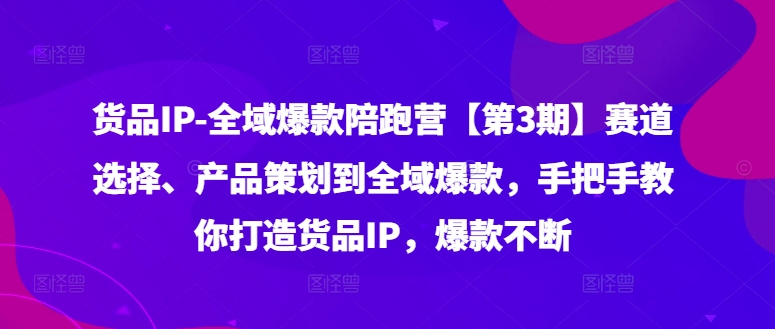 货品IP全域爆款陪跑营【第3期】赛道选择、产品策划到全域爆款，手把手教你打造货品IP，爆款不断| 网创圈