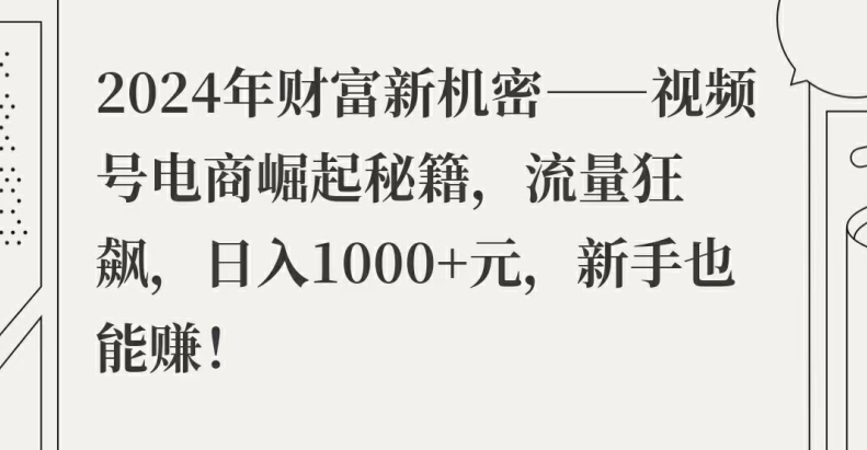 2024年财富新机密——视频号电商崛起秘籍，流量狂飙，日入1k元，新手也能赚| 网创圈