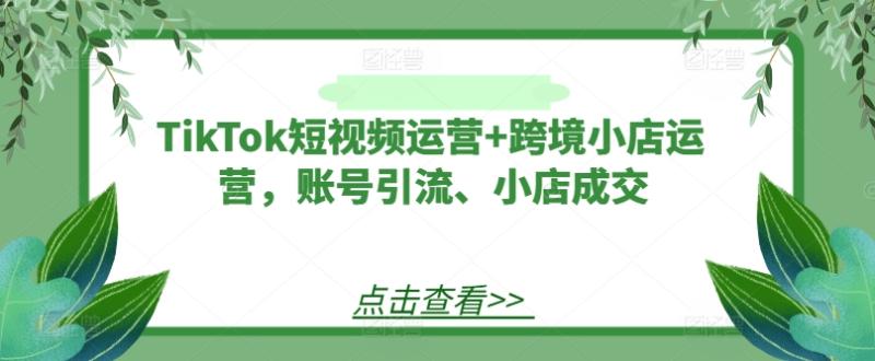 TikTok短视频运营+跨境小店运营，账号引流、小店成交| 网创圈