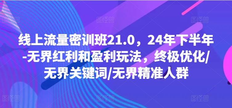 线上流量密训班21.0，24年下半年-无界红利和盈利玩法，终极优化/无界关键词/无界精准人群| 网创圈