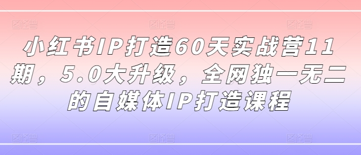 小红书IP打造60天实战营11期，5.0大升级，全网独一无二的自媒体IP打造课程| 网创圈