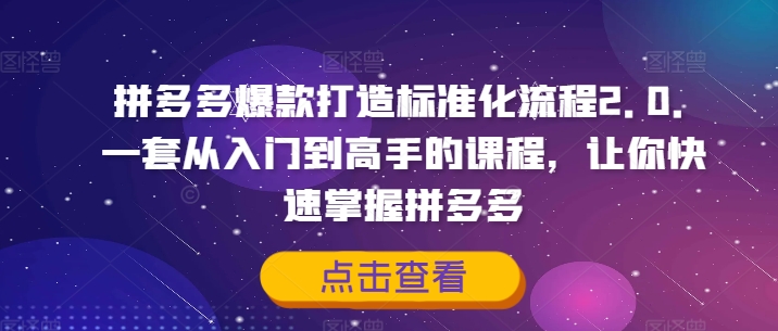 拼多多爆款打造标准化流程2.0，一套从入门到高手的课程，让你快速掌握拼多多| 网创圈
