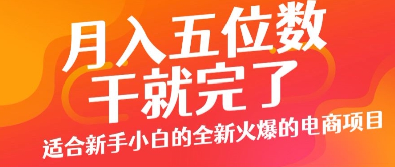 月入五位数，干就完了， 适合新手小白的全新火爆的电商项目| 网创圈