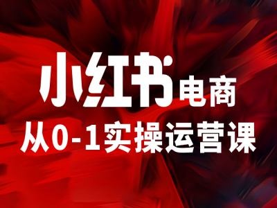 小红书电商从0-1实操运营课，让你从小白到精英| 网创圈