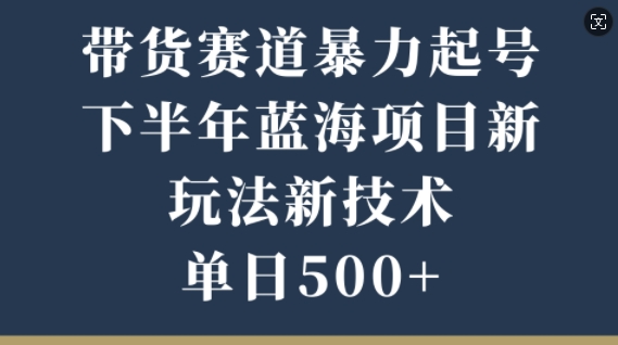 带货赛道暴力起号，下半年蓝海项目，新玩法新技术，单日500+| 网创圈
