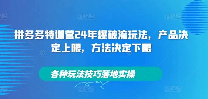 拼多多特训营24年爆破流玩法，产品决定上限，方法决定下限，各种玩法技巧落地实操| 网创圈