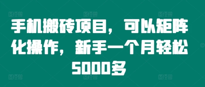 手机搬砖项目，可以矩阵化操作，新手一个月轻松5000多| 网创圈