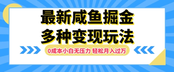 最新咸鱼掘金玩法，0成本小白无压力，多种变现方式，轻松月入过W| 网创圈