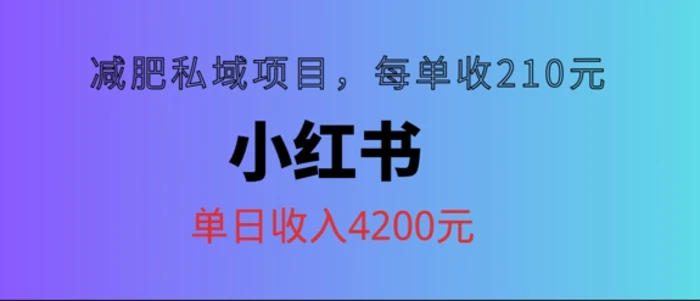 小红书减肥私域项目，每单210元，单日可卖出15单，利润3150| 网创圈
