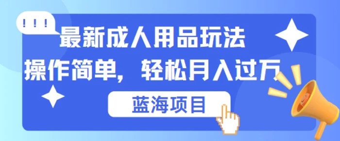 最新成人用品项目玩法，操作简单，动动手，轻松日入几张【揭秘】| 网创圈