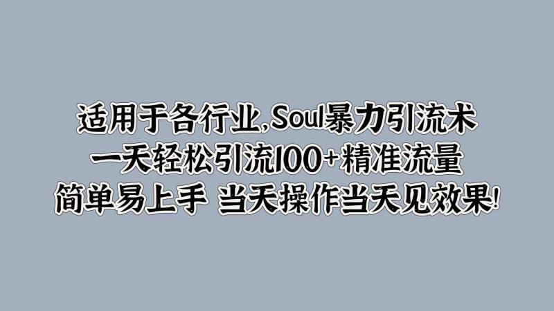 Soul暴力引流术，一天轻松引流100+精准流量，简单易上手 当天操作当天见效果!| 网创圈