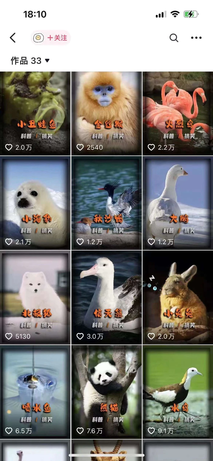 图片[2]| 动物科普解说项目，撸创作者伙伴计划收益，保姆级实战教程| 网创圈