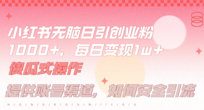 小红书无脑每日引流创业粉500+，小白每天只花半小时，躺赚长尾收益【揭秘】| 网创圈