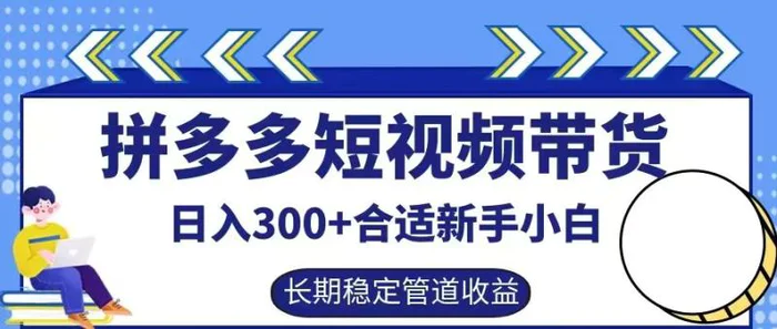 拼多多短视频带货日入300+有长期稳定被动收益，合适新手小白【揭秘】| 网创圈