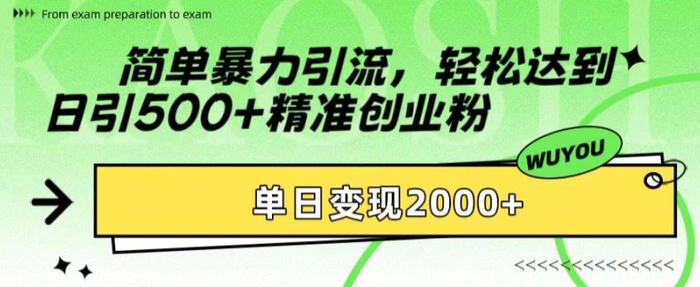 简单暴力引流，轻松达到日引500+精准创业粉，单日变现2k【揭秘】| 网创圈