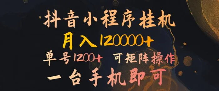 抖音小程序挂机风口项目，月入1.2w，一台手机即可操作，可矩阵操作| 网创圈