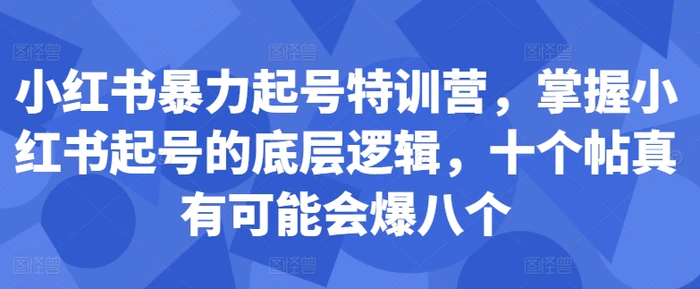 小红书暴力起号特训营，掌握小红书起号的底层逻辑，十个帖真有可能会爆八个| 网创圈