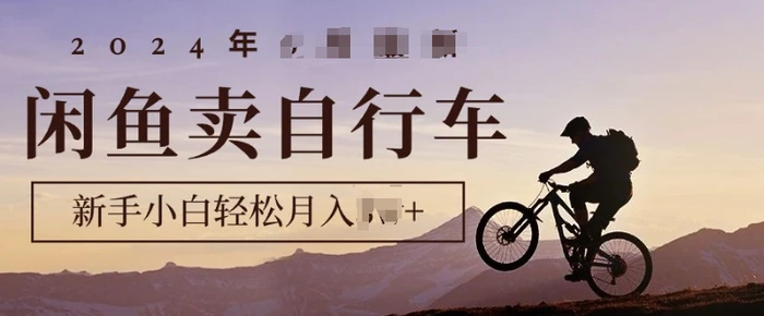 骑行圈的秘密之我在闲鱼卖自行车，项目门槛低，0成本就可以操作| 网创圈