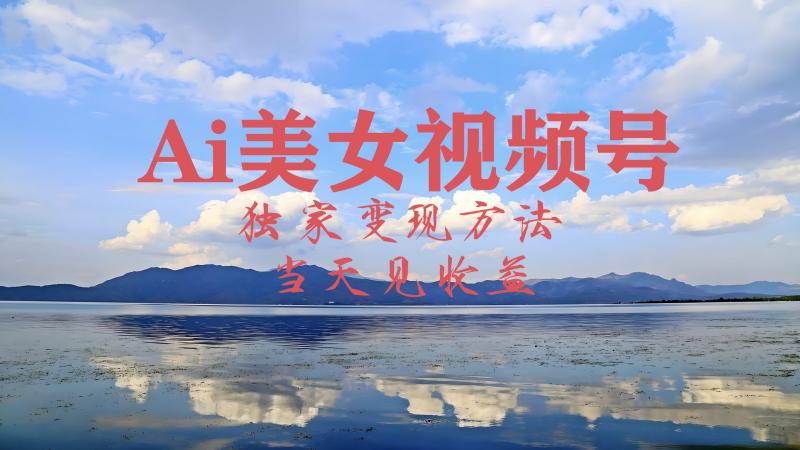 2024最新视频号AI美女跳舞视频玩法，当天见收益| 网创圈