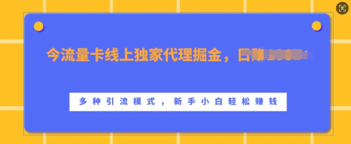 流量卡线上独家代理掘金，日入1k+ ，多种引流模式，新手小白轻松上手【揭秘】| 网创圈