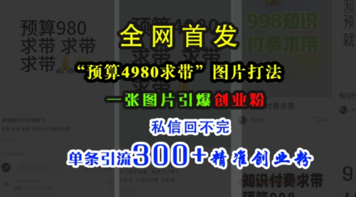小红书“预算4980带我飞”图片打法，一张图片引爆创业粉，私信回不完，单条引流300+精准创业粉| 网创圈
