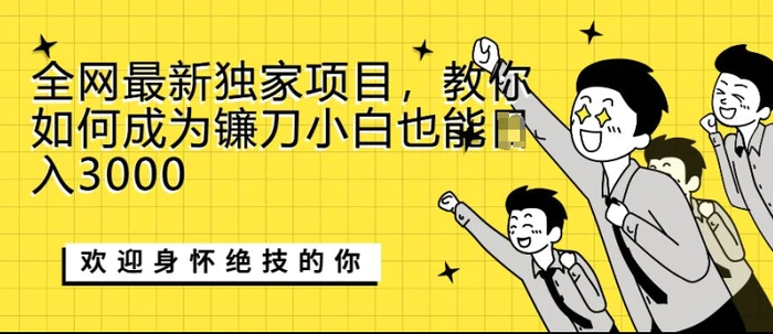 全网最新独家项目，教你如何成为镰刀小白也能日入上K| 网创圈