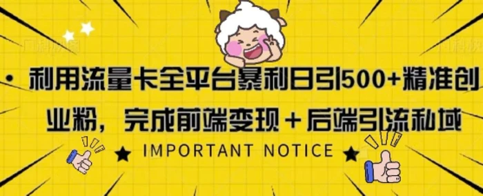 利用流量卡全平台暴利日引500+精准创业粉| 网创圈