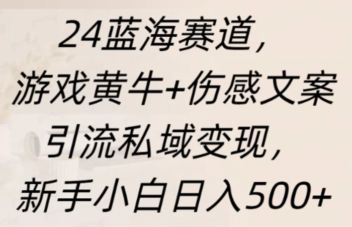 蓝海赛道，游戏黄牛+伤感文案引流私域变现，新手小白日入多张| 网创圈