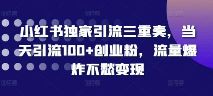 小红书独家引流三重奏，当天引流100+创业粉，流量爆炸不愁变现【揭秘】| 网创圈