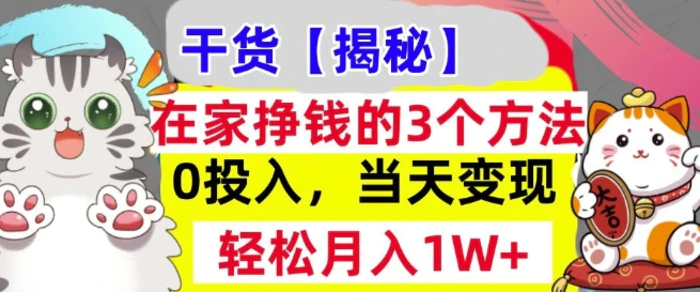 在家挣钱的3个方法，0投入，当天变现，轻松月入过W| 网创圈
